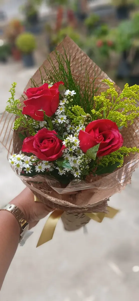 Vila Garden Flores E Plantas – Floricultura Em Vila Velha – Buquê