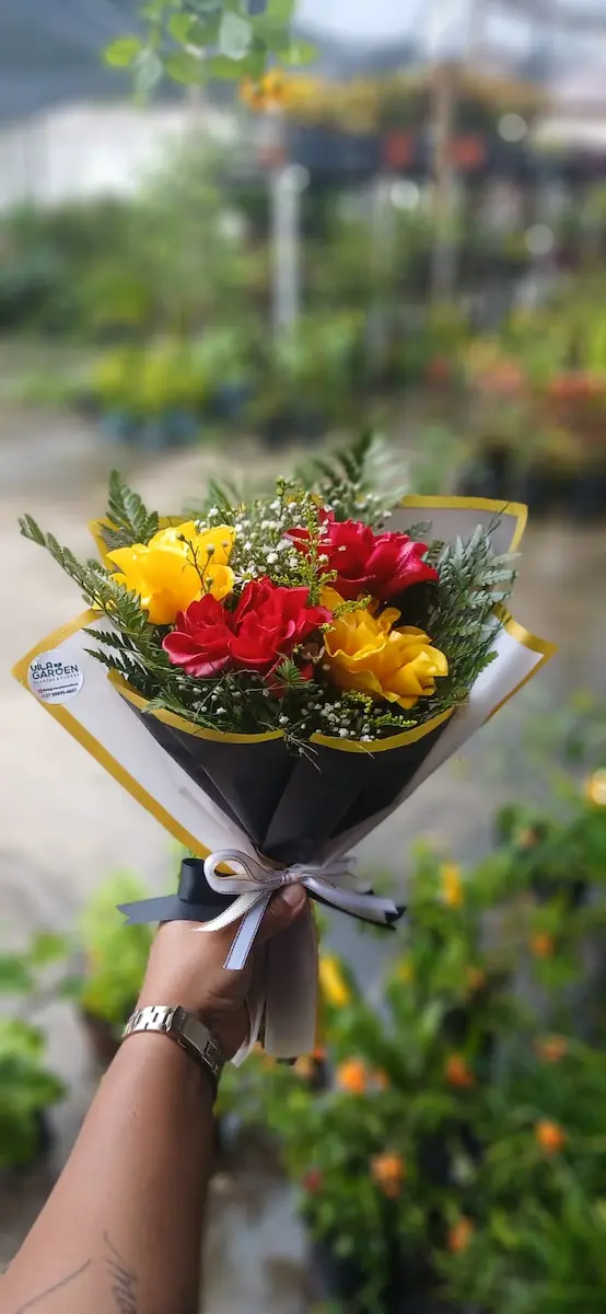 Vila Garden Flores E Plantas – Floricultura Em Vila Velha – Buquê